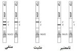 کیت تست اعتیاد شیشه